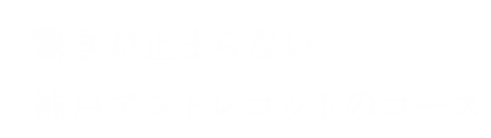 驚きが止まらない