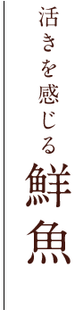 活きを感じる鮮魚